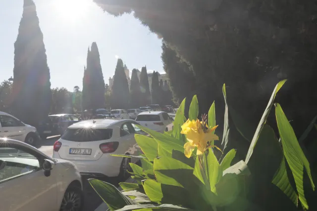 Tokina at-x 116 (EF) - 00002577.webp