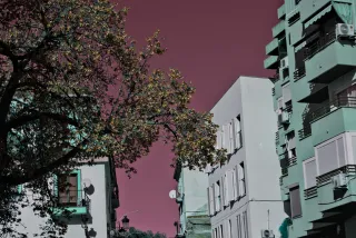 Industar-50-2 50mm f3.5 (M42) - 00002396.webp