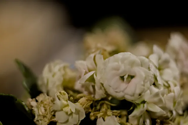 PZO Krytar 85mm f2.8 (DIY) - 00001509.webp