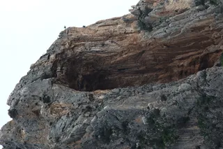 Osawa 135mm f2.8 (Minolta MD) - 00003017.webp