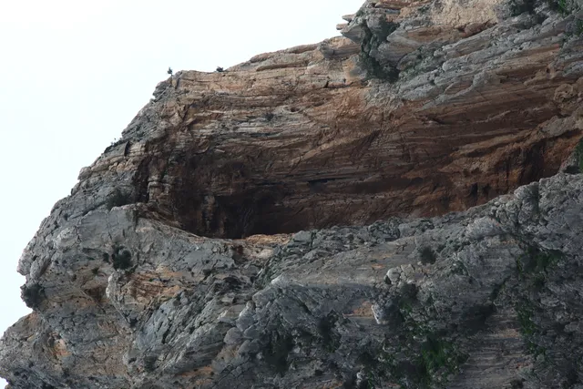 Osawa 135mm f2.8 (Minolta MD) - 00003017.webp