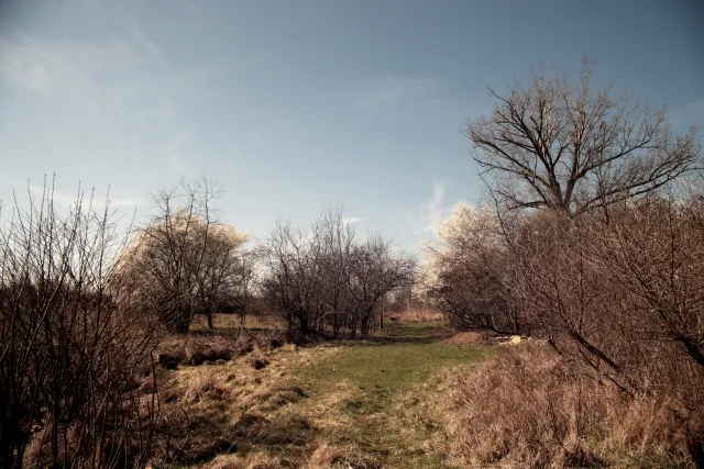 Vivitar Series 1 28-105mm f2.8-3.8 VMC Macro (Olympus OM) - 00005506.webp