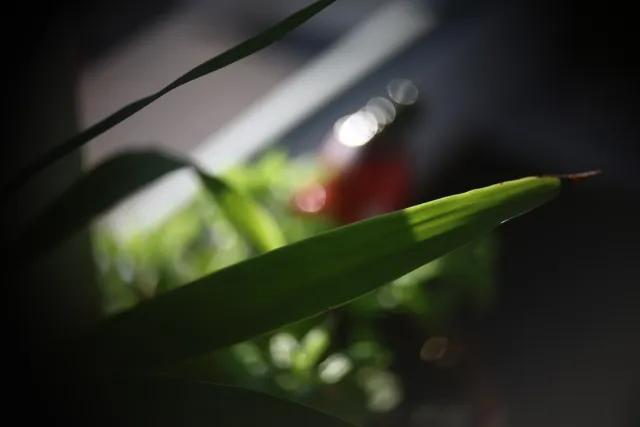 Simplex Ampro Ltd 2.5cala (63.5mm) f1.8 16mm (DIY) - 00002201.webp