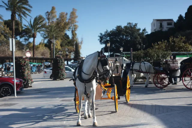 Minolta MC Rokkor-PF 55mm f1.7 (Minolta MCMD) - 00003162.webp