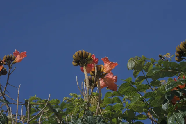 Industar-50-2 50mm f3.5 (M42) - 00000130.webp