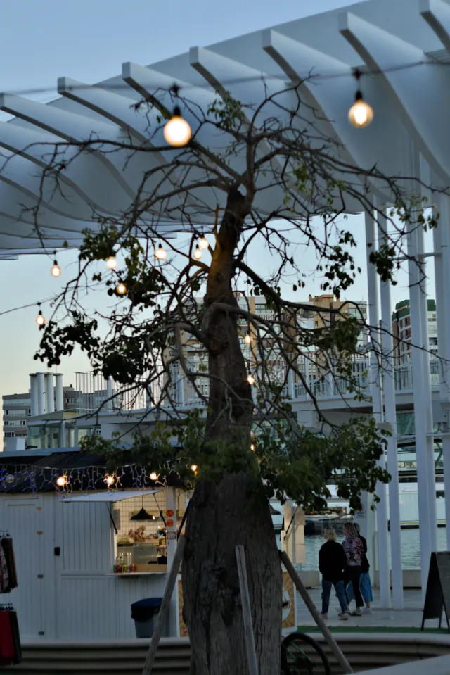 Zenith Helios-77M-4 50mm f1.8 VOMZ (M42) - 00000703.webp