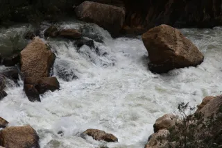 Osawa 135mm f2.8 (Minolta MD) - 00002958.webp