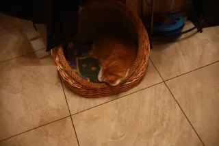 Auto Exaktar EEM 35mm f2.8 ( Minolta MD) - 00003172.webp