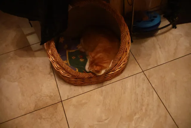 Auto Exaktar EEM 35mm f2.8 ( Minolta MD) - 00003172.webp