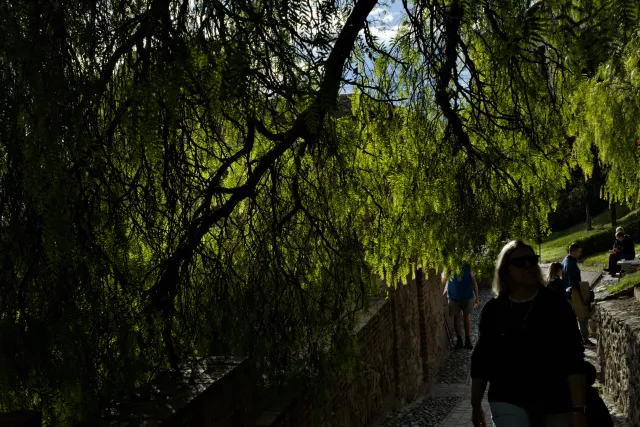 Meyer-Optik Görlitz Primagon 35mm f4.5 (M42) - 00001154.webp