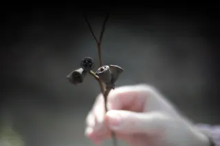 KOWA SUPER PROMINAR-16 50mm f1.2 Eiki 16mm (DIY) - 00003937.webp