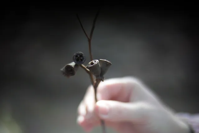 KOWA SUPER PROMINAR-16 50mm f1.2 Eiki 16mm (DIY) - 00003937.webp