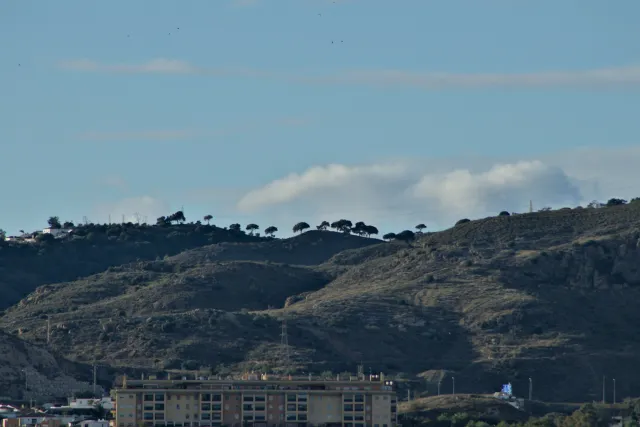 Tamron 28-300mm F3.5-6.3 (EF) - 00001205.webp