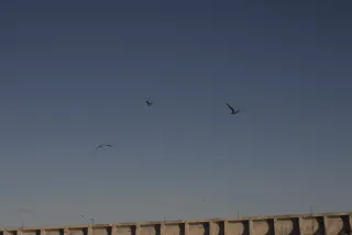 Industar-50-2 50mm f3.5 (M42) - 00000433.webp