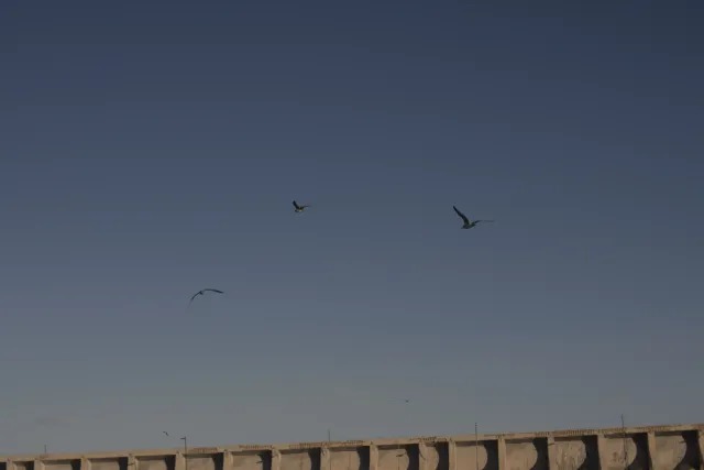 Industar-50-2 50mm f3.5 (M42) - 00000433.webp