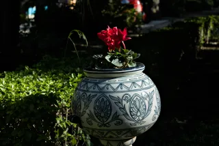 Industar-50-2 50mm f3.5 (M42) - 00000156.webp