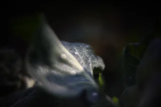 KOWA SUPER PROMINAR-16 50mm f1.2 Eiki 16mm (DIY) - 00002044.webp