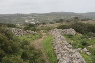 Tamron 28-300mm F3.5-6.3 (EF) - 00004570.webp