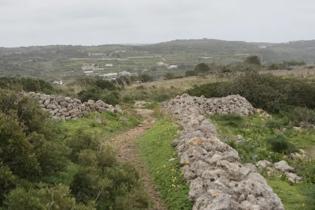 Tamron 28-300mm F3.5-6.3 (EF) - 00004570.webp