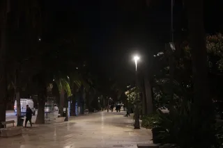 Osawa 135mm f2.8 (Minolta MD) - 00002792.webp