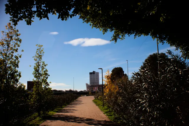 Auto Exaktar EEM 35mm f2.8 ( Minolta MD) - 00002714.webp