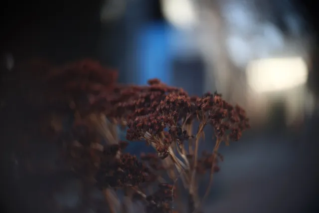 Simplex Ampro Ltd 2.5cala (63.5mm) f1.8 16mm (DIY) - 00002214.webp