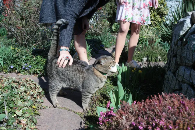 Canon FD 35mm f2.8 (FD) - 00005596.webp