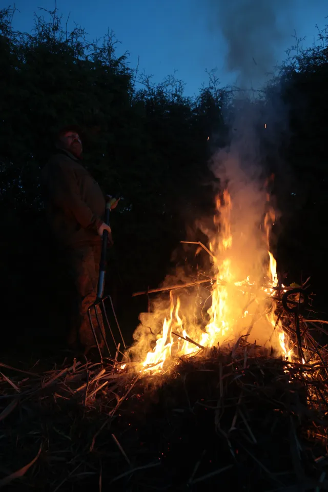 Canon EF 24mm f2.8 (EF) - 00005545.webp