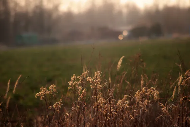 Spiratone Plura-Coat SharpShooter-S 400mm f6.3 (T2-M42) - 00005331.webp