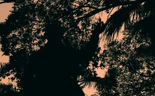 Carl Zeiss Jena DDR Pancolar Electric 50mm f1.8 (M42) - 00003627.webp