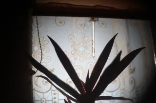 Simplex Ampro Ltd 2.5cala (63.5mm) f1.8 16mm (DIY) - 00002172.webp