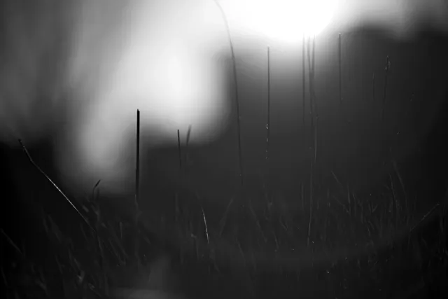 Canon FD 70-210mm f4 (FD) - 00005452.webp