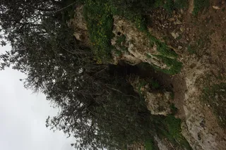 Carl Zeiss Flektogon f4 20mm (m42).md - 00004451.webp