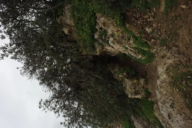 Carl Zeiss Flektogon f4 20mm (m42).md - 00004451.webp