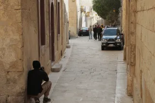 Tamron 28-300mm F3.5-6.3 (EF) - 00003777.webp