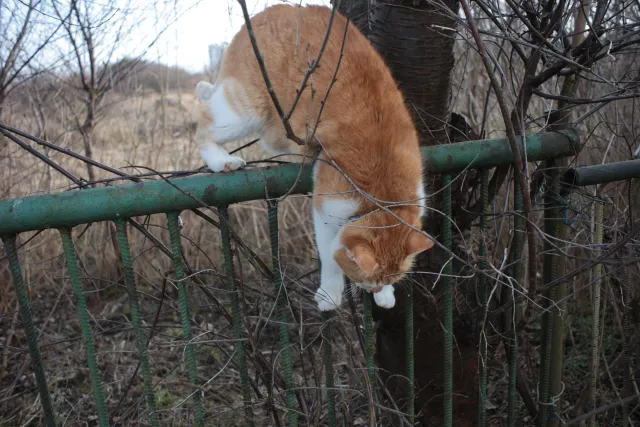 SMC Takumar 28mm f3.5 (Asahi Opt. Co.) [M42] - 00004917.webp