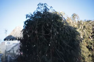 Auto Exaktar EEM 35mm f2.8 ( Minolta MD) - 00002010.webp