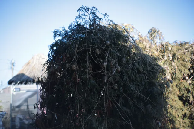 Auto Exaktar EEM 35mm f2.8 ( Minolta MD) - 00002010.webp