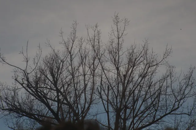 Kiron 35-135mm f3.5-4.5 Macro 1-4 MC (Pentax-K) - 00005067.webp