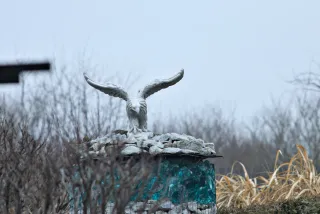 Carl Zeiss Jena Sonnar 180mm f2.8 MC (P6) - 00001517.webp