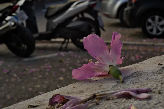 Industar-50-2 50mm f3.5 (M42) - 00001291.webp