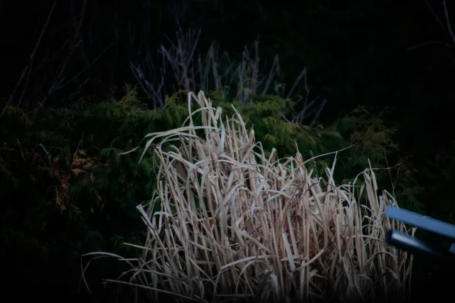 Spiratone Plura-Coat SharpShooter-S 400mm f6.3 (T2-M42) - 00004999.webp