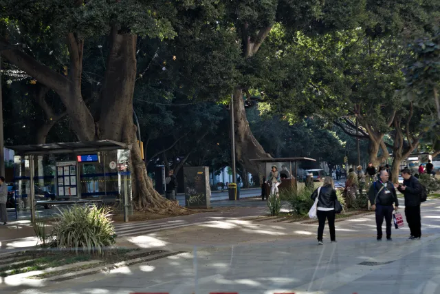 Zenith Helios-77M-4 50mm f1.8 VOMZ (M42) - 00000179.webp