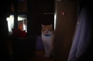 Simplex Ampro Ltd 2.5cala (63.5mm) f1.8 16mm (DIY) - 00002165.webp