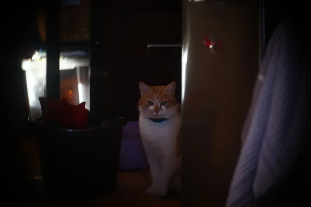 Simplex Ampro Ltd 2.5cala (63.5mm) f1.8 16mm (DIY) - 00002165.webp