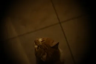 Simplex Ampro Ltd 2.5cala (63.5mm) f1.8 16mm (DIY) - 00002229.webp