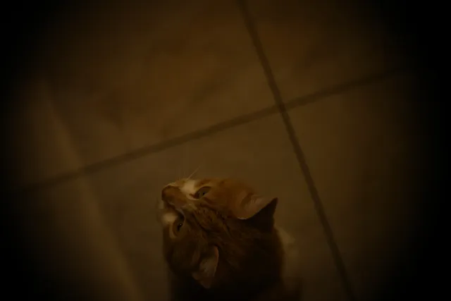 Simplex Ampro Ltd 2.5cala (63.5mm) f1.8 16mm (DIY) - 00002229.webp