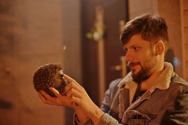 Canon FD 50mm f1.4 SSC (FD) - 00005558.webp