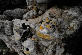 Carl Zeiss Flektogon f4 20mm (m42).md - 00004516.webp