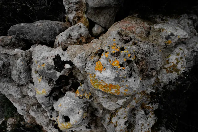 Carl Zeiss Flektogon f4 20mm (m42).md - 00004516.webp